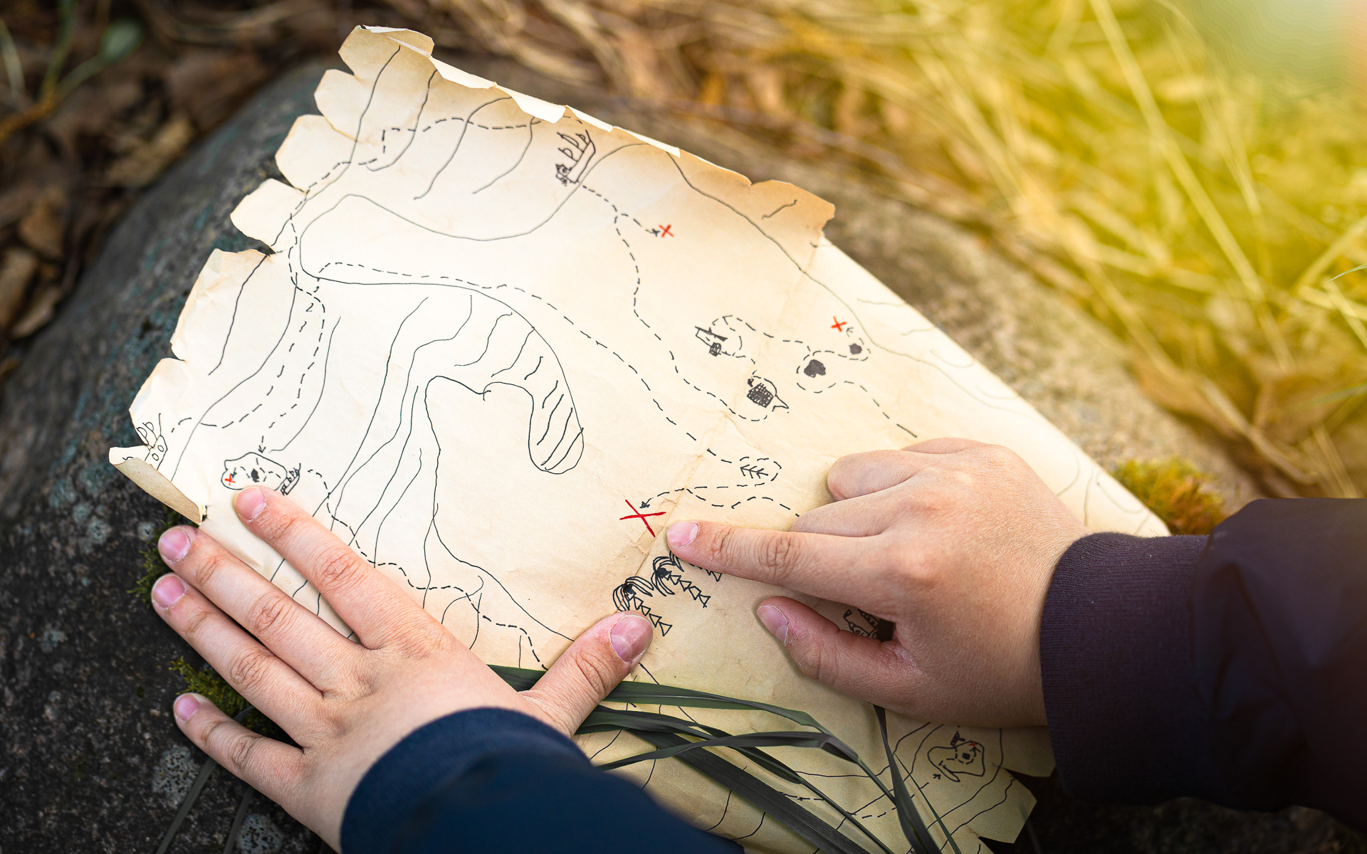 chasse au trésor dans la forêt près de Die